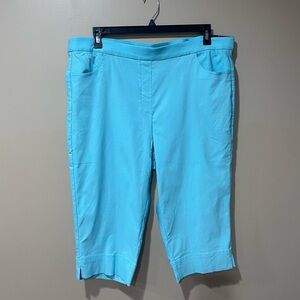 Alfred Dunner Aqua Blue Capris